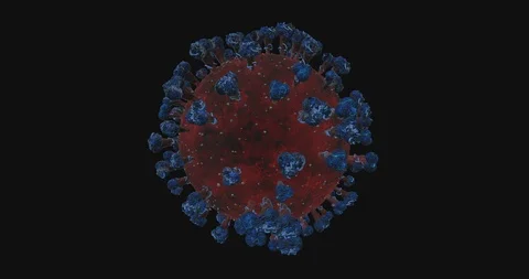 Corona Virus 4k Loopable, Alpha and Fill V2 Stock Footage 127041138