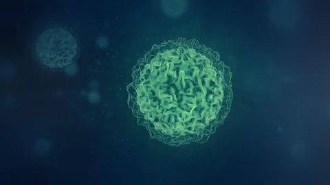 Corona Virus Bacteria Scan HUD 3 Stock Footage 105399770