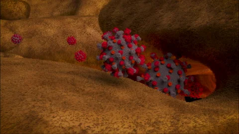 Corona virus cell animation in 3D Stock Footage 148661497