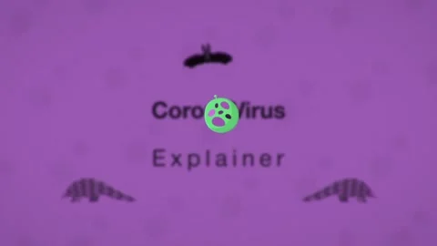 Corona Virus - Covid-19 Explainer Stock After Effects