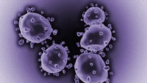 Corona Virus electronic microscop like Violet colored Stock Footage 123470608