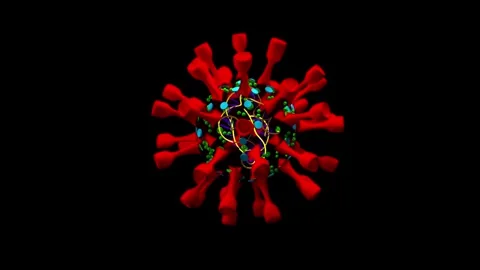 Corona virus elements 库存影片 343869708