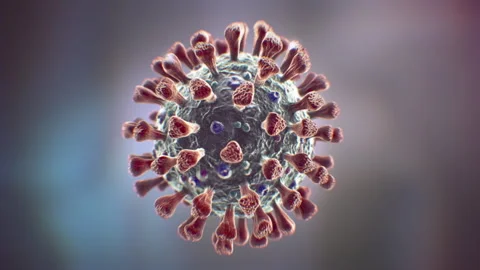 Corona Virus 動画素材 153501448