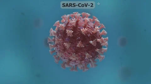 Corona virus Stock Footage 260253845