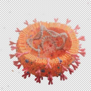 Corona Virus Stock Illustration