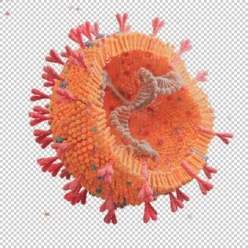 Corona Virus Stock Illustration
