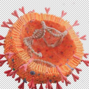 Corona Virus Stock Illustration