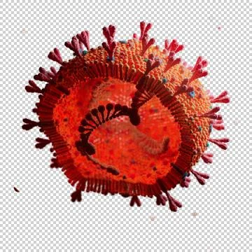 Corona Virus Stock Illustration