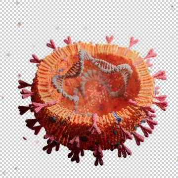 Corona Virus Stock Illustration