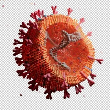 Corona Virus Stock Illustration