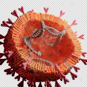 Corona Virus Stock Illustration