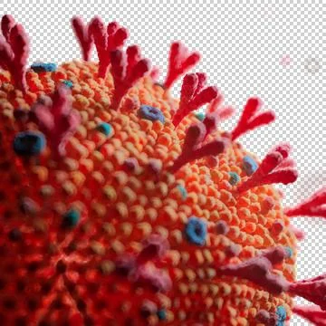 Corona Virus Stock Illustration