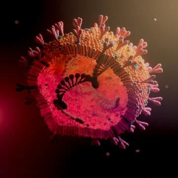 Corona Virus Stock Illustration