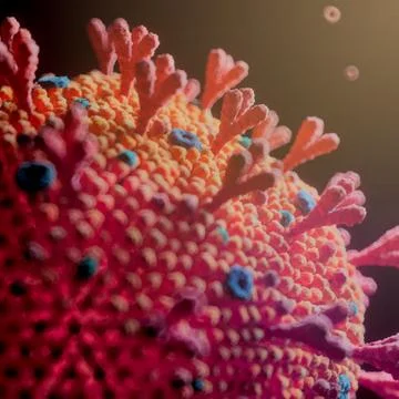 Corona Virus Stock Illustration