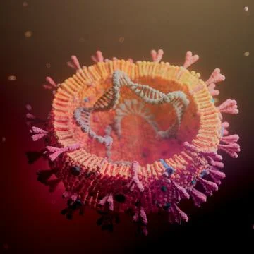 Corona Virus Stock Illustration