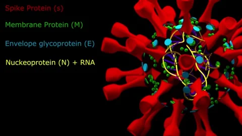 Corona virus infographics Stock Footage 343869710
