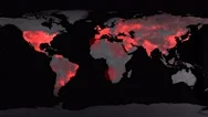 Corona Virus Map Disease Spreading Animation Animation Stock Footage