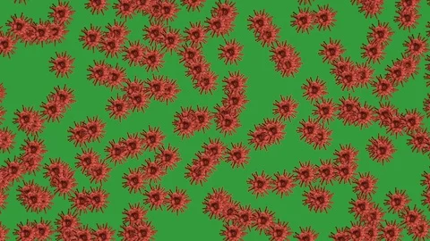 Corona virus multiple red microbes falling down chrome key background Stock Footage 126136018