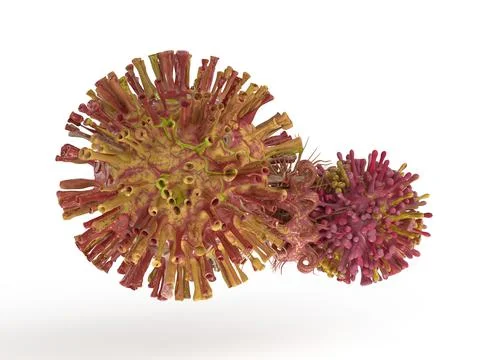 Corona Virus Mutation Process 3D Rendered Stock Illustration