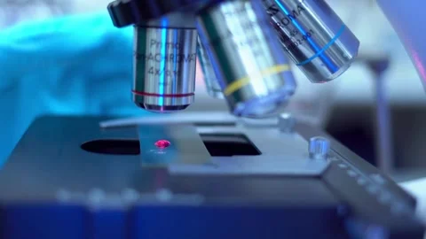 Corona virus is observed by experts under a laboratory research microscope Stock Footage 336583391