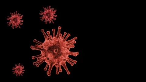 Corona virus red black background biology Stock Footage 126135962