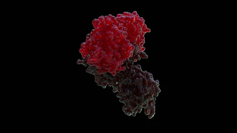 Corona Virus rotating molecular - Loop with transparent background (Alpha) 스톡 동영상 131872477
