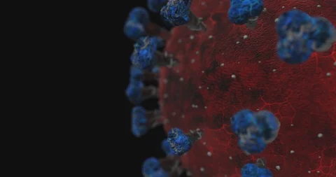 Corona Virus Side 4k Loopable, Alpha and Fill V2 Stock Footage 127055579