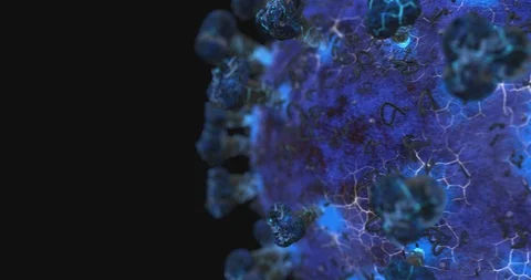 Corona Virus Side V1 Loop-able, 4K,Alpha and Fill Stock Footage 127036230