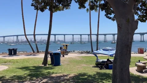Coronado Tidelands Park 스톡 동영상 199552028