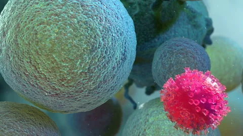 Coronavirus 03 01 Stock Footage 255489199