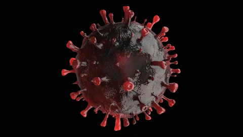 Coronavirus 200 Vidéo 124653604
