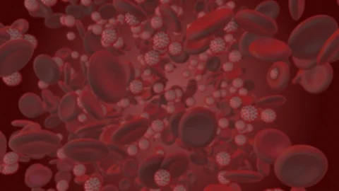 Coronavirus. 3d render of coronavirus particles in human blood Stock Footage 124434788