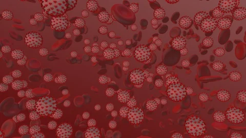 Coronavirus. 3d render of coronavirus particles in human blood Stock Footage 124434983