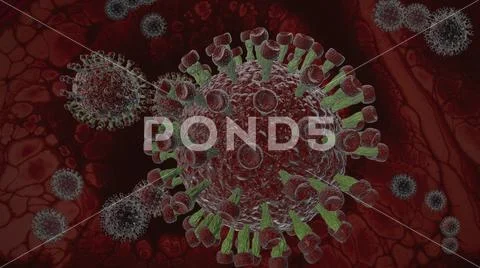 Coronavirus - 3d rendered illustration in color (7) Stock Illustration
