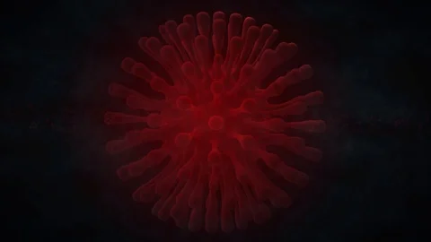 Coronavirus Advices Stock After Effects
