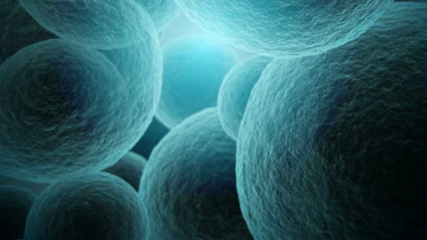 Coronavirus Arrives Between Cells Stock Footage 127614114