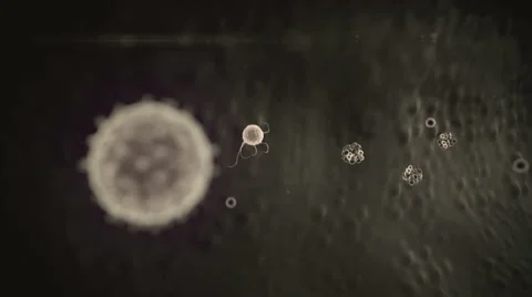 Coronavirus atack the lungs cell Video stock 50109307