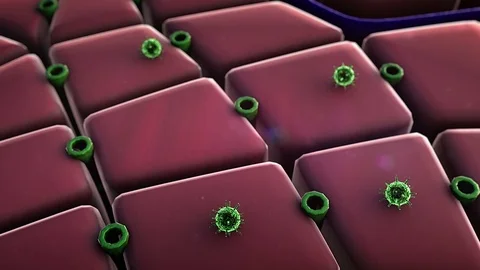 Coronavirus atack the lungs cell Stock Footage 74395318
