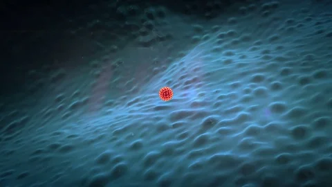 Coronavirus atack the lungs cell Video stock 75617883