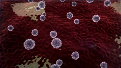 Coronavirus atack the lungs cell, virus cell and Lymphocytes Stock-Footage 74132980