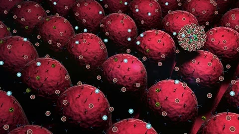 Coronavirus atack the lungs cell, virus and Antibody Video stock 123126281