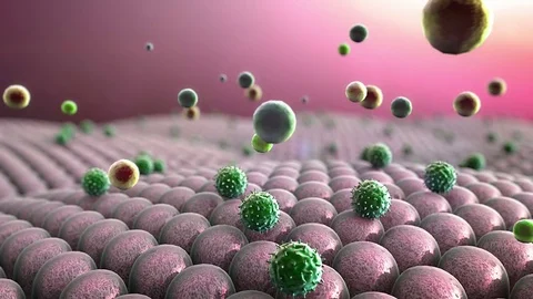 Coronavirus atack the lungs cell, viruses attack the cells Stock Footage 77360055