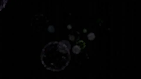 Coronavirus attack and lung destruction, COVID-19 concept, Looping 4K  Video Stock Footage 147930668