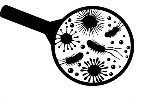Coronavirus bacteria detected under microscope Ilustração Stock