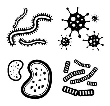Coronavirus bacteria detected under microscope Ilustración de archivo