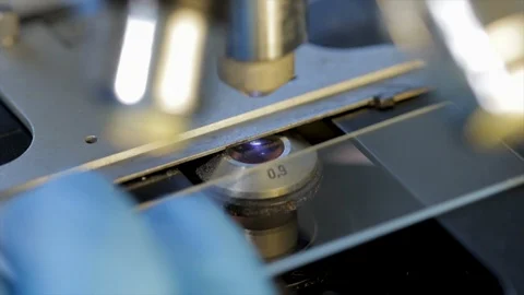 Coronavirus blood test under microscope. Scientist examining blood sample for di Stock Footage 125170993