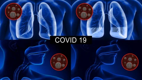 Coronavirus In Body  Infographic Stock Footage 126933325