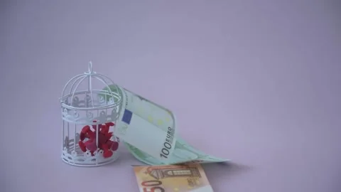 The coronavirus is caged. Euro bills fall from above. Eu money. The concept of Stock Footage 167993364