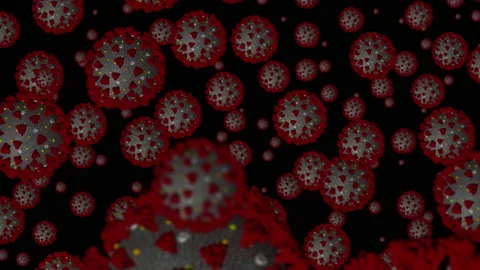 Coronavirus Cell Cluster Tracking Animated Graphic Stock Footage 135031498