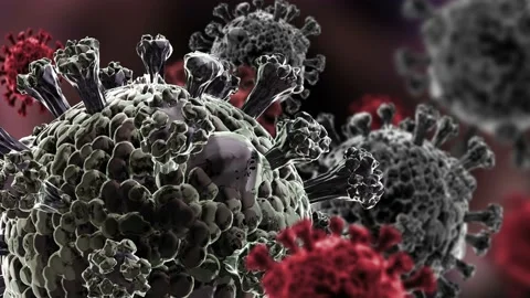 Coronavirus Cells. 3D Animation Group Of Viruses Inside The Body. Stock Footage 126320452